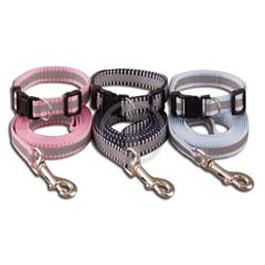 Pet collar & Leash / 2