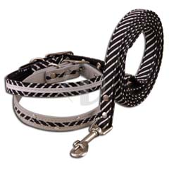 Pet collar & Leash / 2