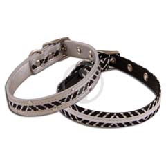 Pet collar & Leash / 3