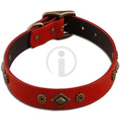 Pet collar / 3