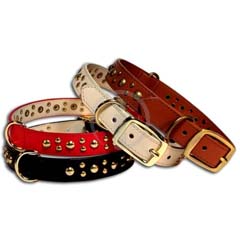 Pet collar & Leash / 2