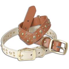 Pet collar & Leash / 3