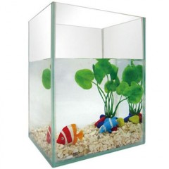 Fish tank-5pc-featured aquarium / 1