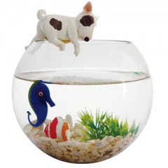 Sell Fish tank-Just relax-featured aquarium / 1