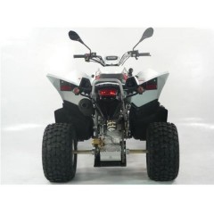 ATVs (All Terrain Vehicles) SPORT SP 250 - EEC ATV - Homologated 2 seats / 2