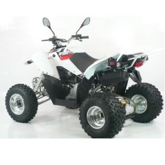 ATVs (All Terrain Vehicles) SPORT SP 250 - EEC ATV - Homologated 2 seats / 3