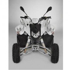 ATVs (All Terrain Vehicles) SPORT FU300SD- IRS -EEC ATV Homologated 2 seats / 2