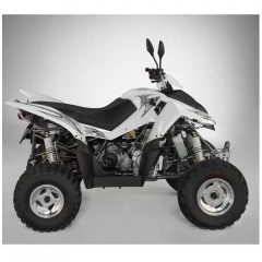 ATVs (All Terrain Vehicles) SPORT FU300SD- IRS -EEC ATV Homologated 2 seats / 3