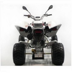 ATVs (All Terrain Vehicles) SPORT SP400S-H00 - EEC ATV - Homologated 2 seats / 3