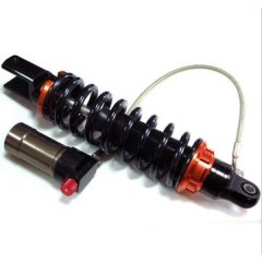 Dual damping adjustable rear shock / 1