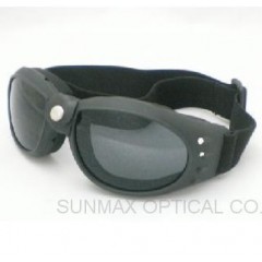 Ski Goggle and sporting goggle / 1