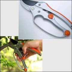 Pruner / 1