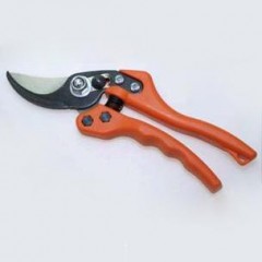 Pruner / 1