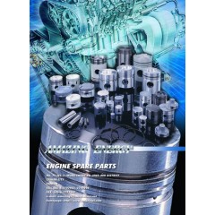 Gasoline Engine Piston / 1