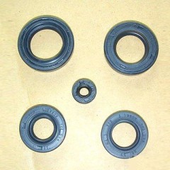 Motorcycle Oil Seal / 1