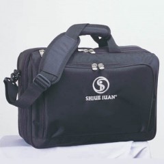 Computer Bag / 1