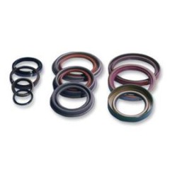 OIL SEALS / 1