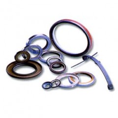 OIL SEALS / 1