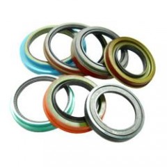 OIL SEALS / 1