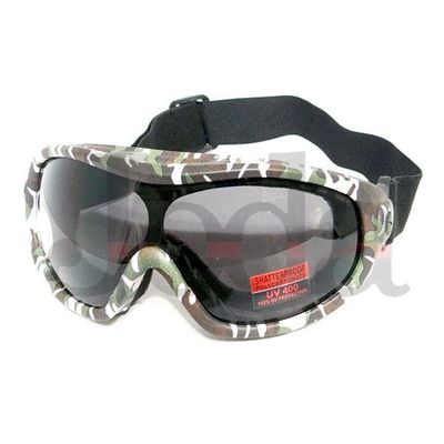 Ski goggles-adult WS-G0110