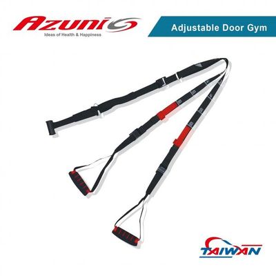 ASA585 Adjustable Door Gym