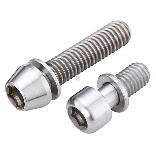 Titanium Alloy Screws & Washers Assembled (SEMS) / 2