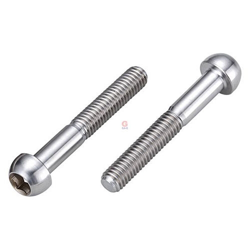 Titanium Alloy Seatpost Bolts / 2