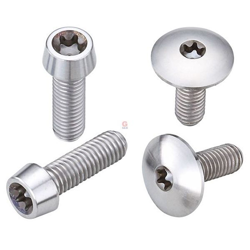 Titanium Alloy Screws / 2