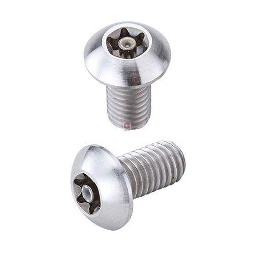 Titanium Alloy Torx Security Screws / 1