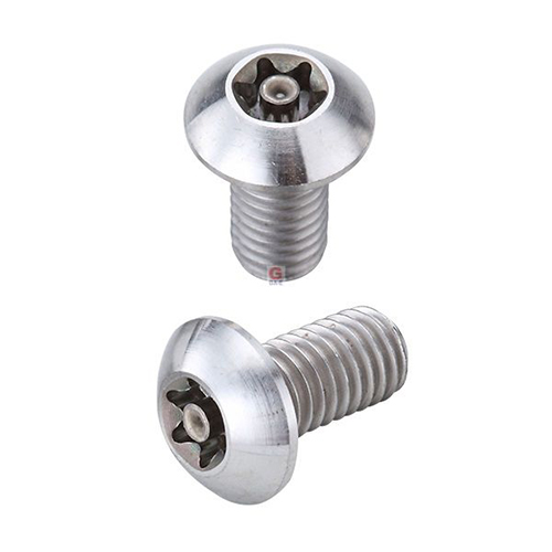 Titanium Alloy Torx Security Screws / 2