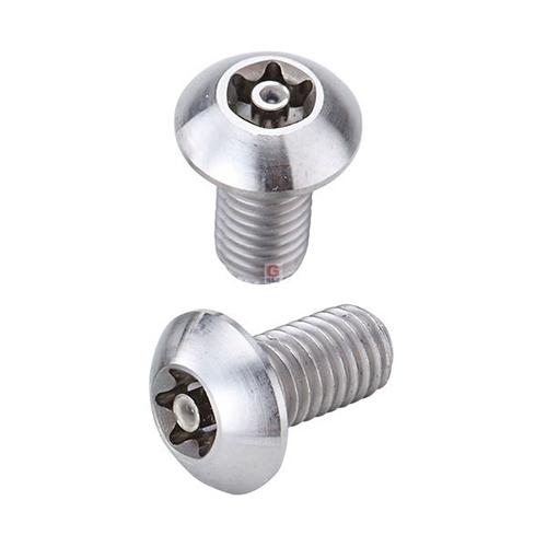 Titanium Alloy Torx Security Screws / 3