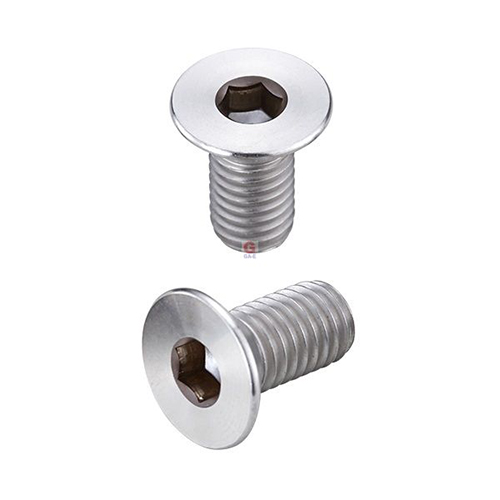 Titanium Alloy Hex Socket Flat Screws / 2