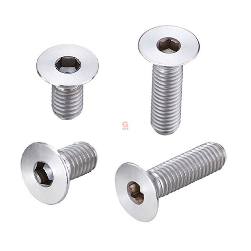 Titanium Alloy Hex Socket Flat Screws / 3