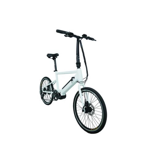 E-bike PSES-FC20-1 / 2