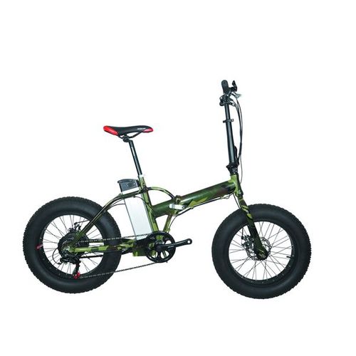 E-bike PSES-FDR20-1 / 1