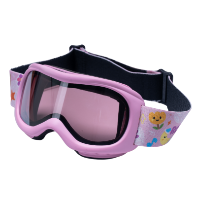 Ski Goggles RM-110