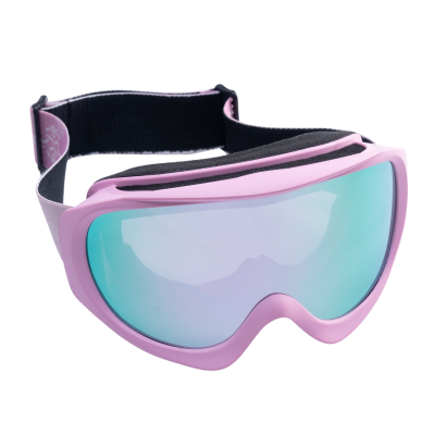 Ski Goggles  RM-107